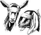 Goats