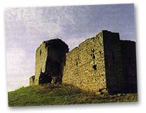 Ballymoon Castle