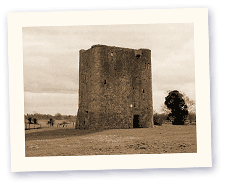 Donore Castle