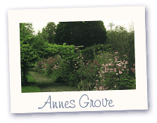 Annes groce, County Cork